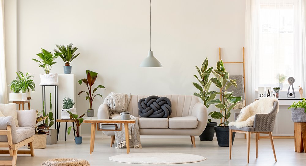 [Property Name] property image